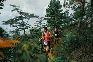 BIB: 
                            <button type="button" onclick="openModal(25260781)" class="btn btn-primary btn-sm float-right btn-popup" data-toggle="modal" data-target=".modal-high-quality">
                        <i class="fas fa-shopping-cart"></i> Add to Cart
                    </button>
                                            <button type="button" onclick="isThisMe(25260781, true)" class="btn btn-success btn-sm float-right btn-popup btn-isme hidden" data-toggle="tooltip" data-placement="bottom" title="นี่คือรูปของคุณใช่ไหม คลิกที่นี่เพื่อเอาเข้าอัลบั้ม">
                        <i class="fas fa-plus"></i> Add to album
                    </button>
                    <button type="button" onclick="isThisMe(25260781, false)" class="btn btn-warning btn-sm float-right btn-popup btn-isnotme hidden">
                        <i class="fas fa-ban"></i> Remove from album
                    </button>